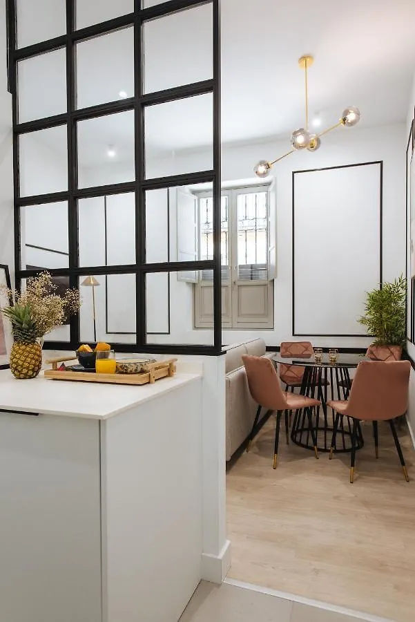 Azafran Suite Apartment 塞维利亚